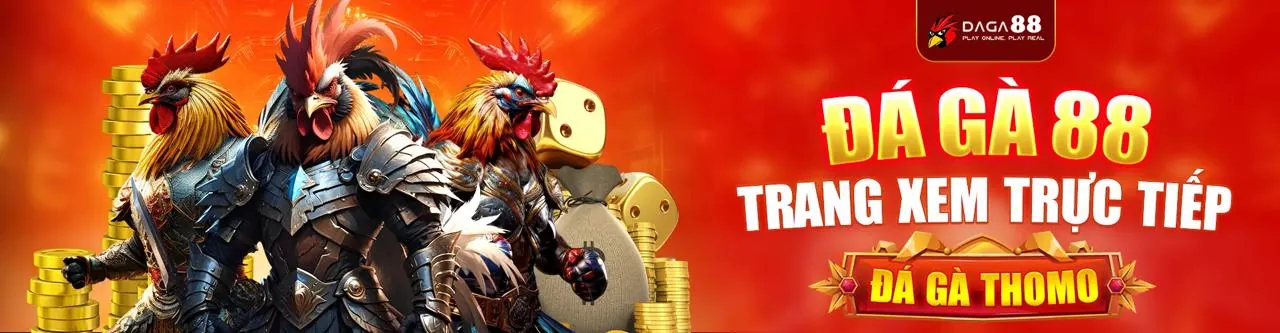 Hình ảnh tổng quan blog x5bet nhà cái
