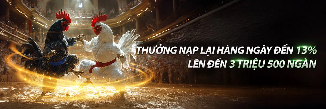 Chương trình VIP x5bet nhà cái với các đặc quyền độc quyền