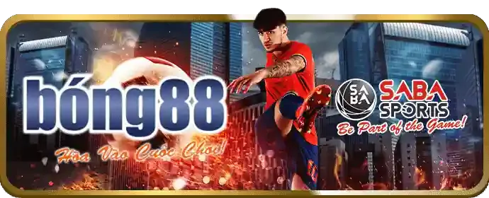 Giải Mã Các Thuật Ngữ Cá Cược Thể Thao Phổ Biến